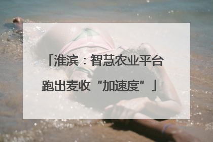淮滨：智慧农业平台跑出麦收“加速度”