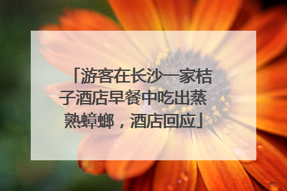 游客在长沙一家桔子酒店早餐中吃出蒸熟蟑螂，酒店回应
