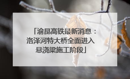 渝昆高铁最新消息：洛泽河特大桥全面进入悬浇梁施工阶段