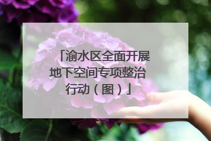 渝水区全面开展地下空间专项整治行动（图）