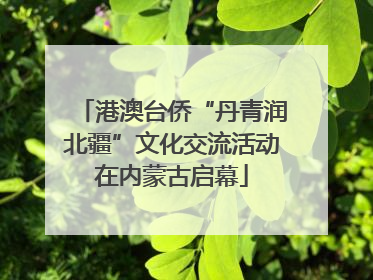 港澳台侨“丹青润北疆”文化交流活动在内蒙古启幕