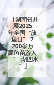 湖南省开展2025年全国“放鱼日” 7200多万尾鱼苗游入“一湖四水”