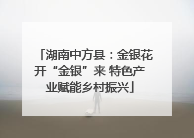 湖南中方县：金银花开“金银”来 特色产业赋能乡村振兴