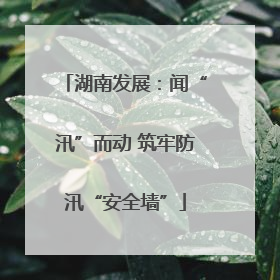 湖南发展：闻“汛”而动 筑牢防汛“安全墙”