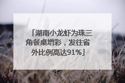湖南小龙虾为珠三角餐桌增彩，发往省外比例高达91%