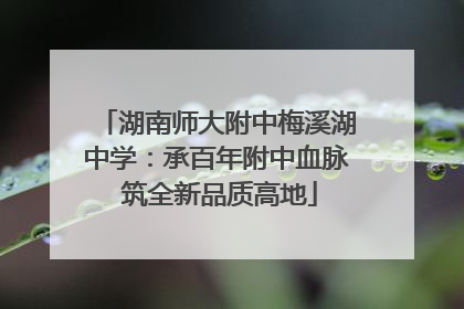 湖南师大附中梅溪湖中学：承百年附中血脉 筑全新品质高地