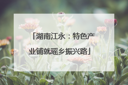 湖南江永：特色产业铺就瑶乡振兴路