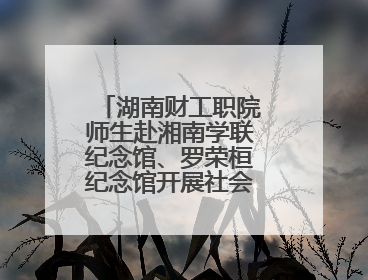 湖南财工职院师生赴湘南学联纪念馆、罗荣桓纪念馆开展社会实践活动