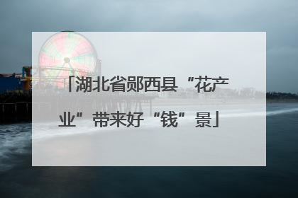 湖北省郧西县“花产业”带来好“钱”景