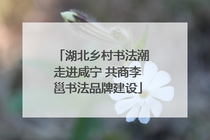 湖北乡村书法潮走进咸宁 共商李邕书法品牌建设
