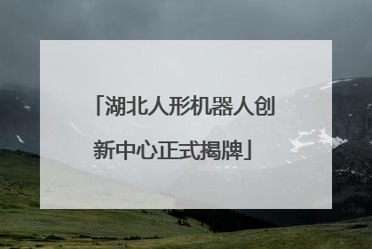 湖北人形机器人创新中心正式揭牌