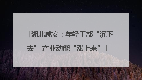 湖北咸安：年轻干部“沉下去” 产业动能“涨上来”