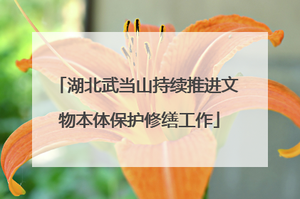 湖北武当山持续推进文物本体保护修缮工作