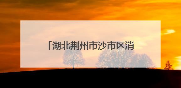 湖北荆州市沙市区消防开展无偿献血活动