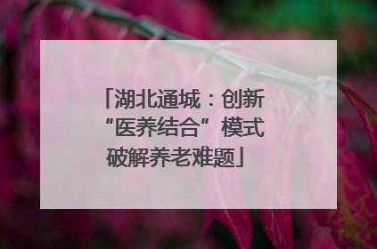 湖北通城：创新 “医养结合”模式 破解养老难题