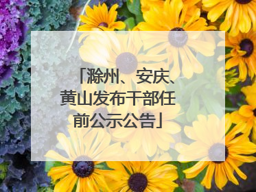 滁州、安庆、黄山发布干部任前公示公告