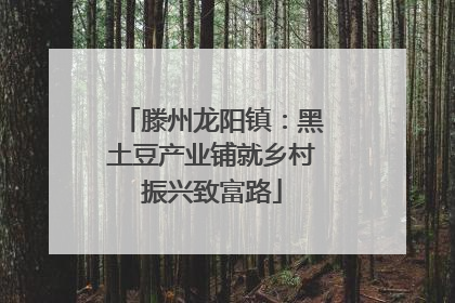 滕州龙阳镇：黑土豆产业铺就乡村振兴致富路