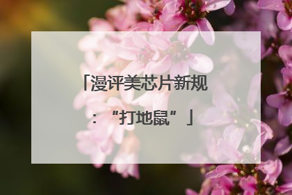 漫评美芯片新规：“打地鼠”