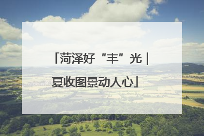 菏泽好“丰”光｜夏收图景动人心