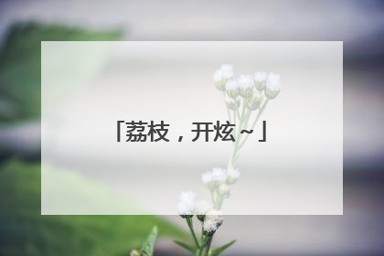 荔枝，开炫～