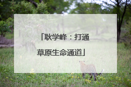 耿学峰：打通草原生命通道