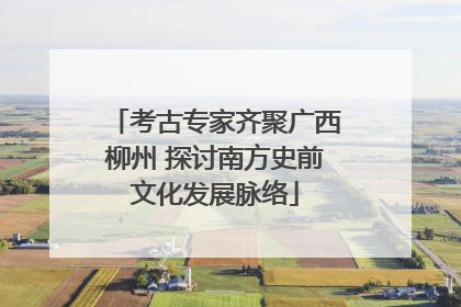 考古专家齐聚广西柳州 探讨南方史前文化发展脉络
