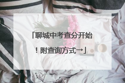 聊城中考查分开始！附查询方式→