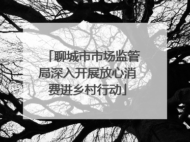 聊城市市场监管局深入开展放心消费进乡村行动