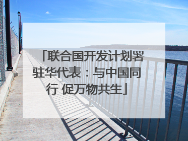 联合国开发计划署驻华代表：与中国同行 促万物共生