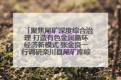 聚焦尾矿深度综合治理 打造有色金属循环经济新模式 张金良一行调研栾川县尾矿库综合治理工作