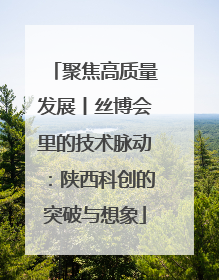 聚焦高质量发展丨丝博会里的技术脉动：陕西科创的突破与想象