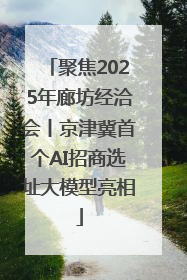 聚焦2025年廊坊经洽会丨京津冀首个AI招商选址大模型亮相