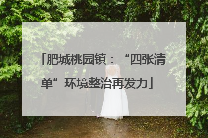 肥城桃园镇：“四张清单”环境整治再发力