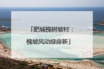 肥城槐树坡村：槐坡风动绿藤新