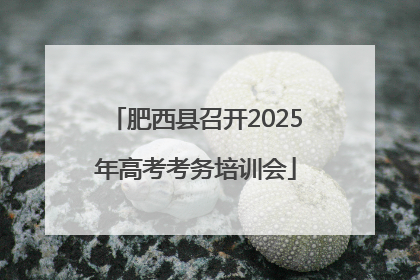 肥西县召开2025年高考考务培训会