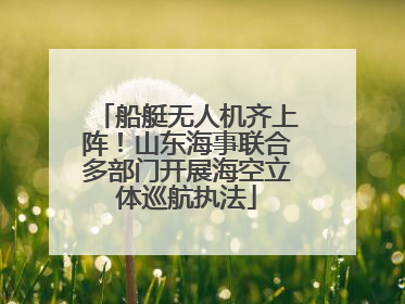 船艇无人机齐上阵！山东海事联合多部门开展海空立体巡航执法