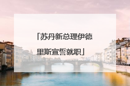 苏丹新总理伊德里斯宣誓就职