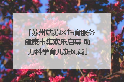 苏州姑苏区托育服务健康市集欢乐启幕 助力科学育儿新风尚
