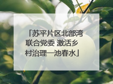 苏平片区北部湾联合党委 激活乡村治理一池春水