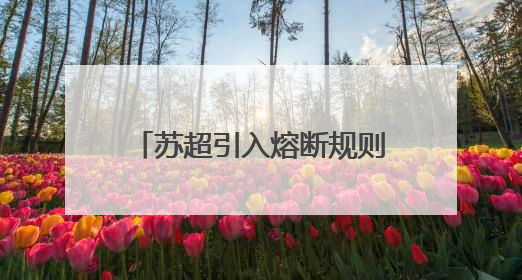 苏超引入熔断规则：单场净胜球超过8个，比赛立即终止