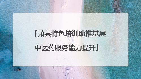 萧县特色培训助推基层中医药服务能力提升