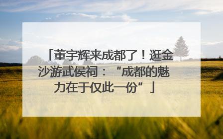 董宇辉来成都了！逛金沙游武侯祠：“成都的魅力在于仅此一份”