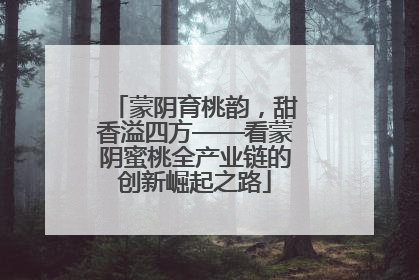 蒙阴育桃韵，甜香溢四方——看蒙阴蜜桃全产业链的创新崛起之路