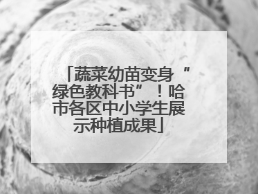 蔬菜幼苗变身“绿色教科书”！哈市各区中小学生展示种植成果