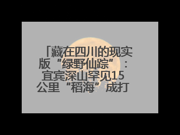藏在四川的现实版“绿野仙踪”：宜宾深山罕见15公里“稻海”成打卡新地标