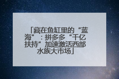 藏在鱼缸里的“蓝海”：拼多多“千亿扶持”加速激活西部水族大市场