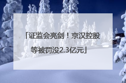 证监会亮剑！京汉控股等被罚没2.3亿元