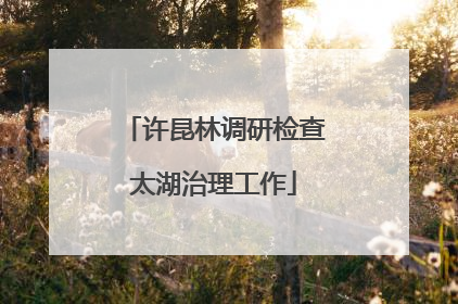 许昆林调研检查太湖治理工作