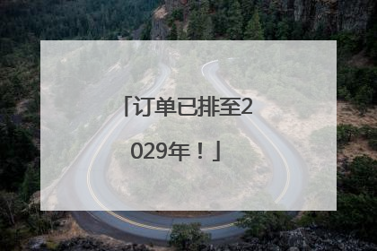 订单已排至2029年！