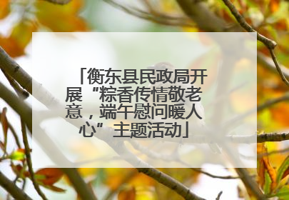 衡东县民政局开展“粽香传情敬老意，端午慰问暖人心”主题活动